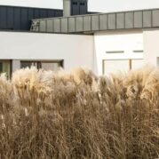 Einfamilienhauser-39